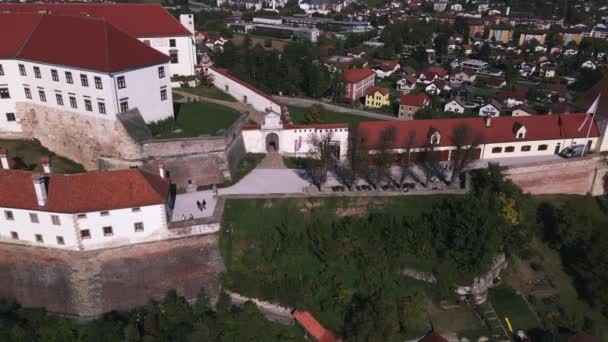 Ptuj Castle Oleh Drone — Stok Video