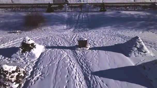 Schloss Uppsala Schweden Winter Drohne — Stockvideo