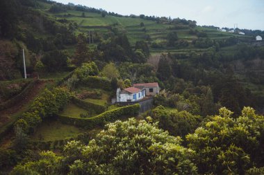 Sao Miguel 'deki Azores kırsalının manzarası