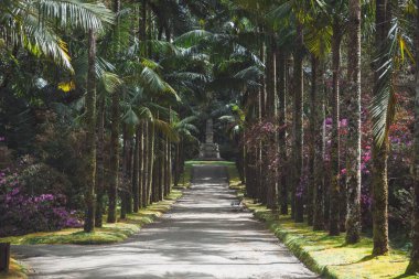 Park Terra Nostra Sao Miguel 'de, Azorelar.
