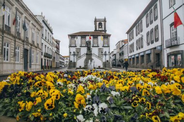 Sao Miguel, Azores 'deki Ponta Delgada' dan görüntüler
