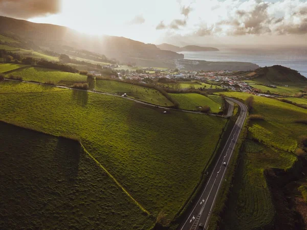 Vue Par Drone Plantation Thé Gorreana Sao Miguel Açores — Photo