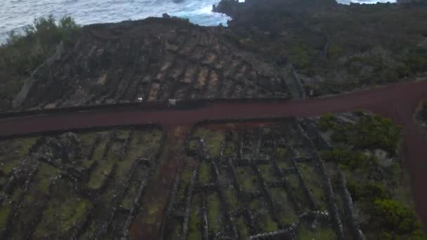 ドローン3によるアゾレス諸島のピコ島の古いブドウ畑の風景 — ストック動画