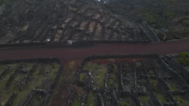 Old Vineyard Landscape Pico Islands Azores Drone — Stock video