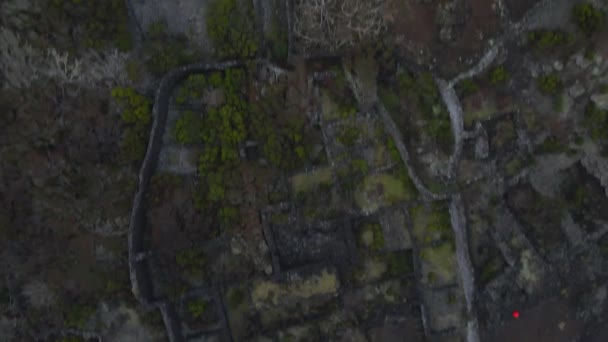 Oud Wijngaard Landschap Pico Eilanden Azoren Door Drone — Stockvideo
