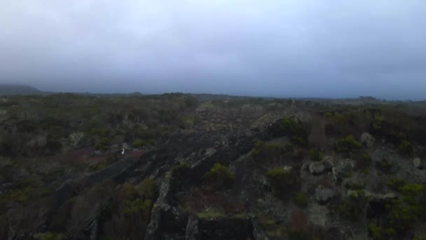 ドローンでアゾレス諸島のピコ島の古いブドウ畑の風景 — ストック動画