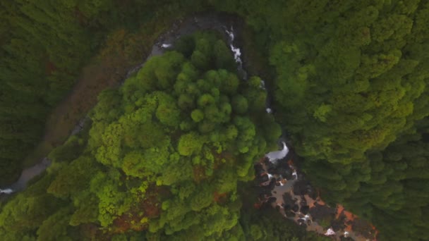 Cascata Das Lombadas Waterval Sao Miguel Azoren Door Drone — Stockvideo