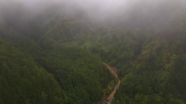 Nebel Auf Sao Miguel Den Azoren Drohne — Stockvideo