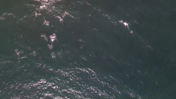 Povoacao Pier Sao Miguel Aux Açores Par Drone — Video