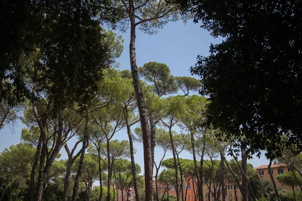 Roma, İtalya 'da Villa Borghese manzarası