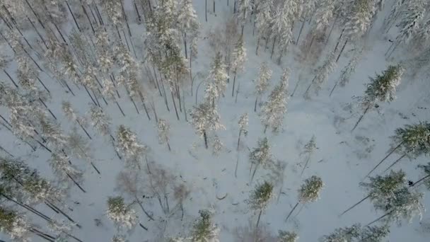 ドローンによるスウェーデンの冬 — ストック動画