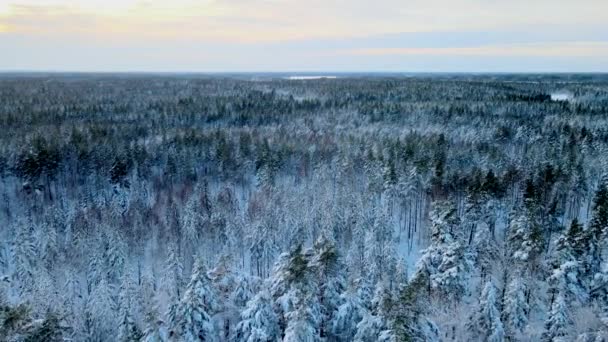 ドローンによるスウェーデンの冬 — ストック動画