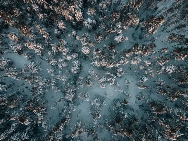 Paesaggio Neve Invernale Svezia Drone — Foto Stock