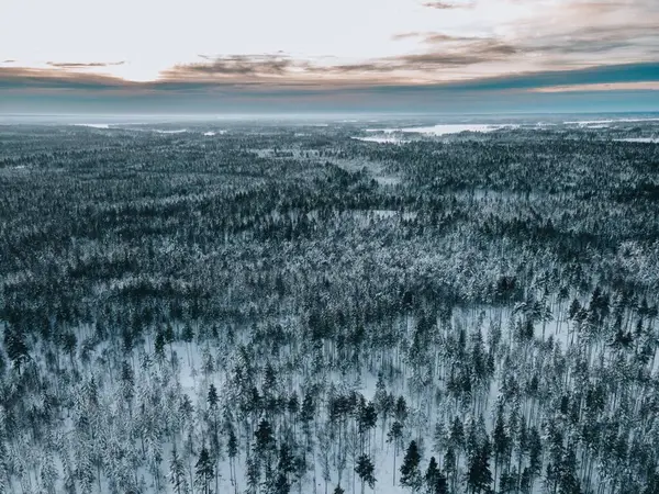 ドローンによるスウェーデンの冬の雪景観 — ストック写真