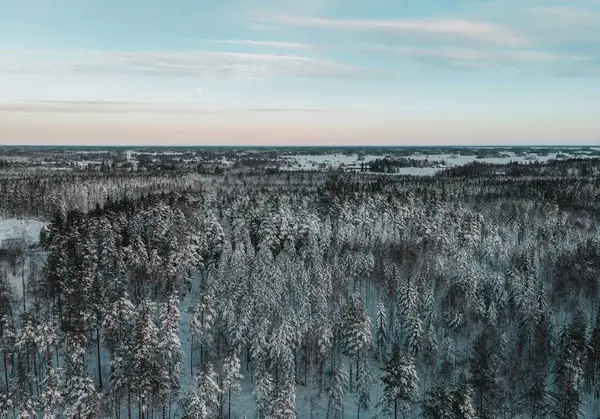 ドローンによるスウェーデンの冬の雪景観 ストック画像
