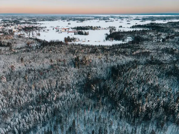ドローンによるスウェーデンの冬の雪景観 ストックフォト