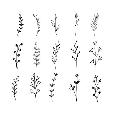 El yapımı çiçek desenleri, yapraklar, çiçekler, otlar ve botanik çizimler.