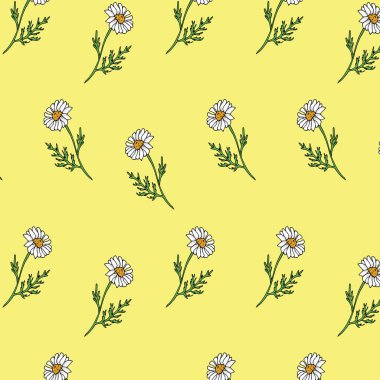 Sarı arka planda el çizimi, kusursuz papatya deseni. Duvar kağıdı, kumaş, kapak, ambalaj kağıdı için şirin desen.