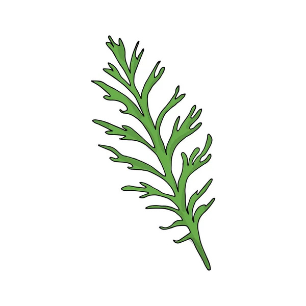 花の葉のベクトル図 白い背景に隔離された カモミールの葉 — ストックベクタ