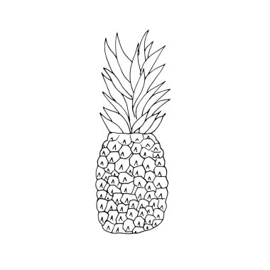 Elle çizilmiş ananas. Yaz meyvesi. Vektör siyah ve beyaz illüstrasyon.