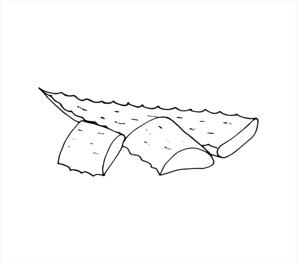 Szkic Świeżego Liścia Aloesu Ręcznie Rysowany Szkic Rośliny Aloesu Ilustracja — Wektor stockowy