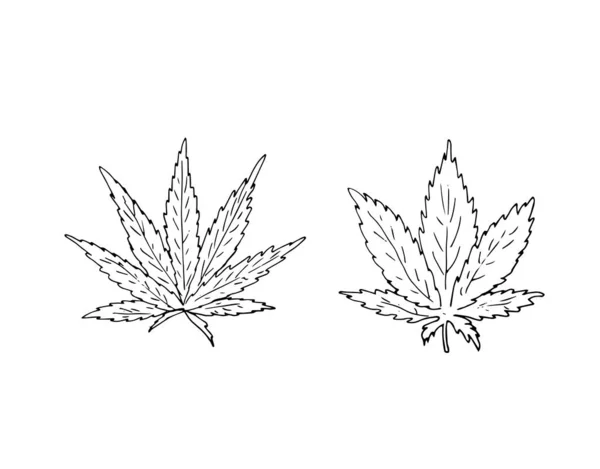 Vector Cannabis Leaves Set Indica Sativa Leave Cannabis Herbal Leaf — Stock Vector