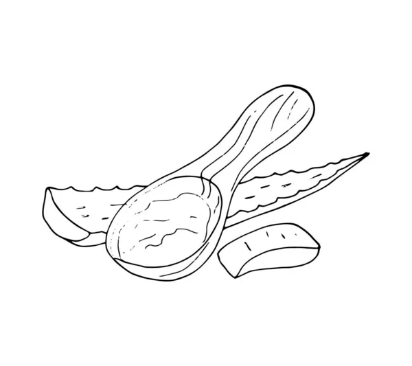 Liść Aloesu Żelowa Ilustracja Aloe Vera Żel Łyżce Izolowane Wektor — Wektor stockowy