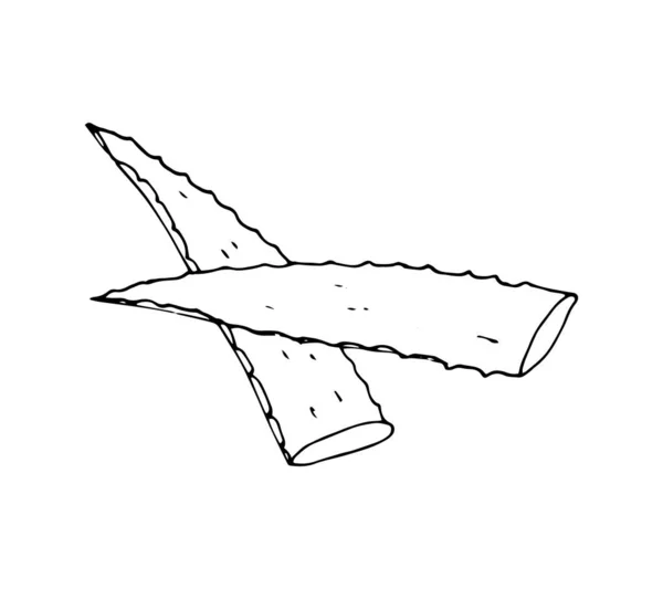 Aloe Vera Listy Ručně Kreslené Vektorové Ilustrace — Stockový vektor