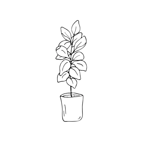 白地に隔離された観葉植物のベクトル図 鍋に室内植物イラスト — ストックベクタ