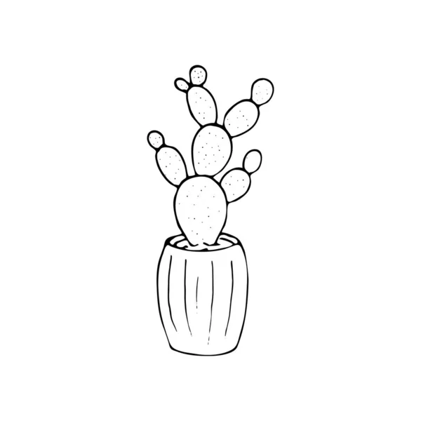 Kaktus Garnku Ręcznie Rysowane Szkic Wektor Ilustracji Izolacja Białym Tle — Wektor stockowy