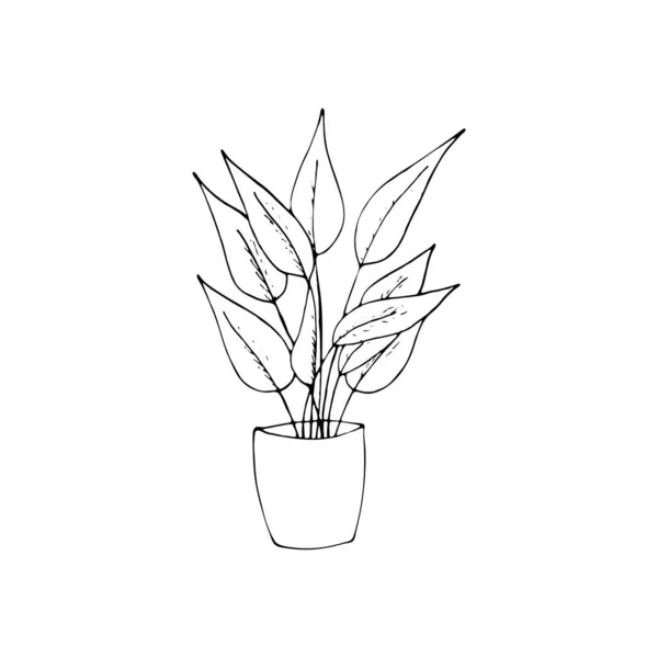 Pflanze Topf Handgezeichnete Vektor Isolierte Illustration — Stockvektor