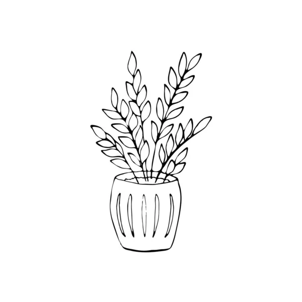 ポットで成長する装飾的な屋内植物のスケッチ 線画で手描き 白地に隔離された観葉植物のベクトル図 — ストックベクタ