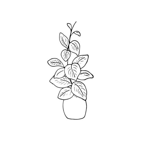 Plante Intérieur Dans Pot Illustration Vectorielle Isolée Style Croquis Plante — Image vectorielle