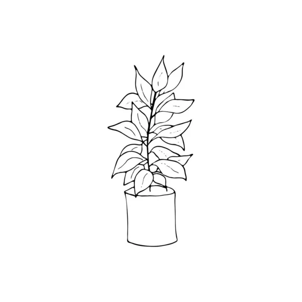 Декоративное Внутреннее Растение Растущее Горшке Растение Каракулей Векторная Иллюстрация Корпуса — стоковый вектор