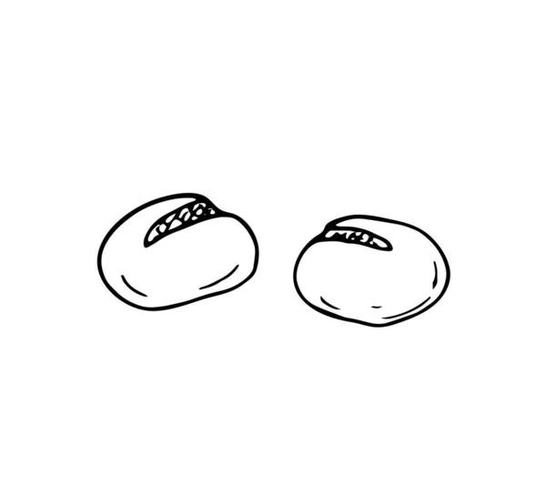 Vector Bollos Dibujados Mano Sobre Fondo Blanco Ilustración Aislada Panadería — Archivo Imágenes Vectoriales