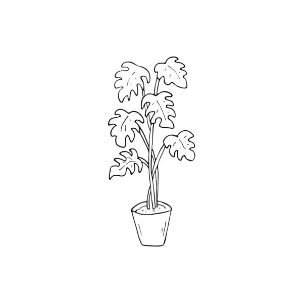 Monstera Plant Pot Hand Drawn Vector Illustration White Background — Stock Vector