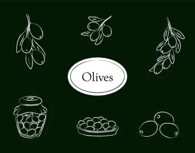 Yeşil arka planda izole edilmiş kömür tarzı zeytin seti, meyve, zeytin dalı, kavanozda zeytin ve tabakta zeytin çizimi
