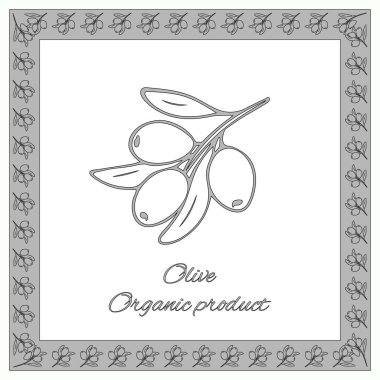 Zeytin organik ürün kartı. Zeytin ürünleri tasarımı, dükkanlar, pazarlar, ambalajlar, zeytin ürünleri için etiketler