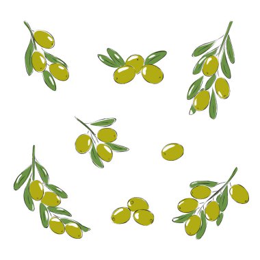 Kömür zeytinleri, renkli zeytin vektörü çizimi