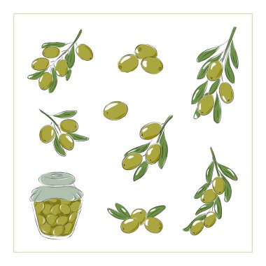 Yeşil zeytin dalları vektör çizimi, kavanozda zeytin konservesi. Beyaz arkaplanda izole vektör çizimi. 