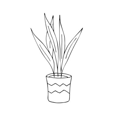Saksıda yetişen bir bitki. Çiçek açıyor. Siyah çizgisel siluet. Elle çizilmiş vektör grafik çizimi. Beyaz arka planda izole bir nesne. Sapları ve yaprakları olan kapalı bir çiçek..
