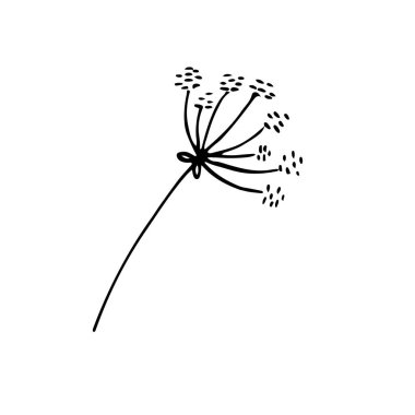 Karalama tarzında doğal bitkiler. Dekoratif zarif tasarım. Yaprak dalı. Davetiye için zarif kır çiçeği. Randevu kartını sakla. Vektör eğilimli yeşillik