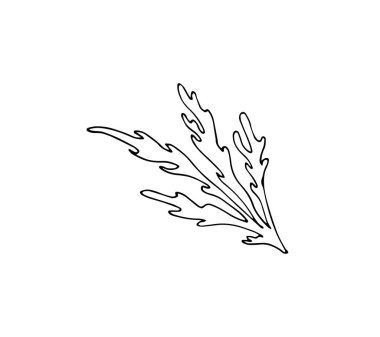 Botanik yaprakları beyaz arka planda el yapımı vektör çizimi izole edilmiş. Doodle tarzı tek çiçekli illüstrasyon.