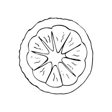 Olgun limonlu meyve dilimi. Elle çizilmiş yarım limon. Taze ve sulu Lemon beyaz arkaplanda izole edildi.