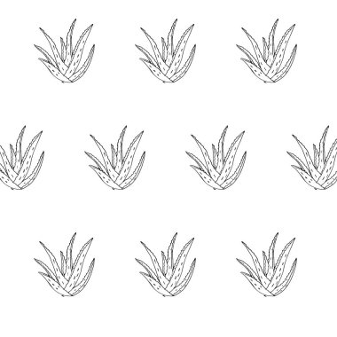 Botanik Aloe Vera el yapımı set. Tıbbi tesisin bir yansıması. Tasarım elementi. Gerçekçi çizim.