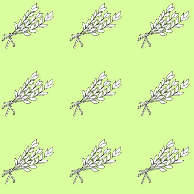 Yapraksız yaprakları olan körfez yaprağı bitkisi. El yapımı defne yaprağı bitkisi. Aşçılık ve baharat için otlar..