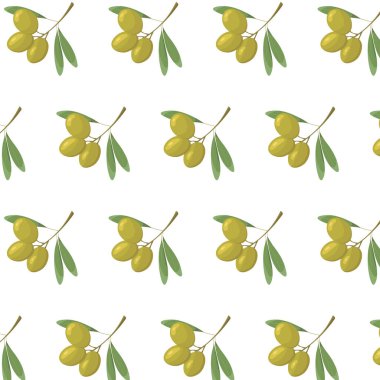 Beyaz arkaplanda yeşil zeytin deseni var. Zeytin dalı çizimi. Yapraklı zeytin. 