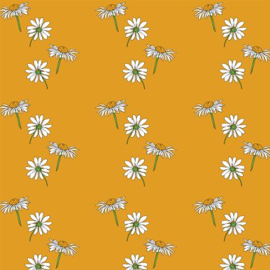 Papatya çiçekleri kusursuz desen. Sarı arkaplanda beyaz papatyalar.