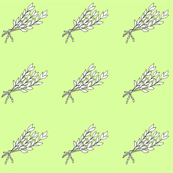 Yapraksız yaprakları olan körfez yaprağı bitkisi. El yapımı defne yaprağı bitkisi. Aşçılık ve baharat için otlar..