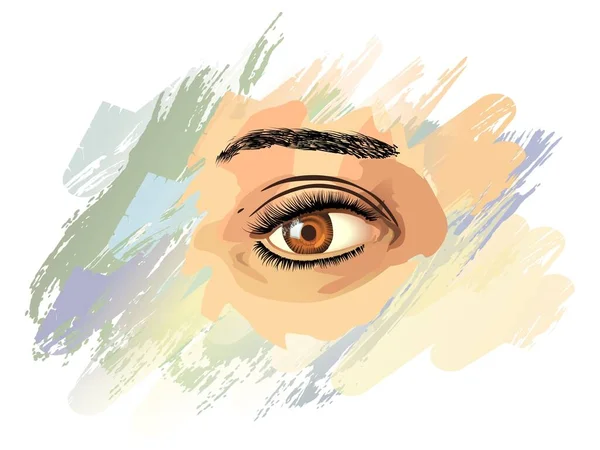 Kvinna Öga Illustration Isolerad Vit Bakgrund Kvinnliga Ögon Ögonbryn — Stock vektor